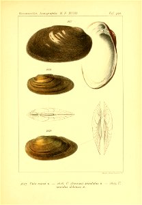 n592_w1150