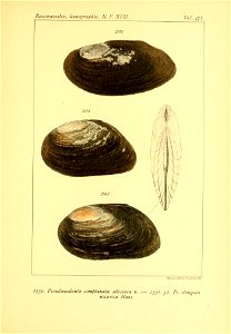 n482_w1150