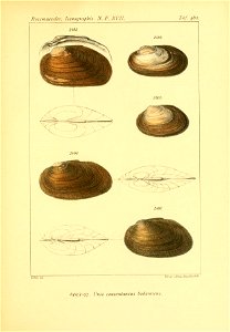 n452_w1150