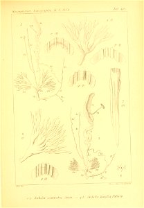 n348_w1150