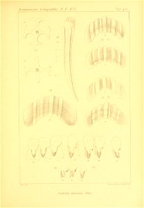 n318_w1150