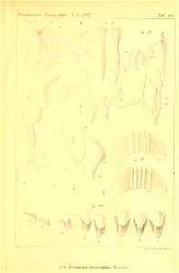 n510_w1150