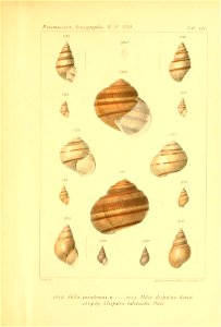 n234_w1150