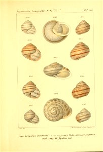 n122_w1150