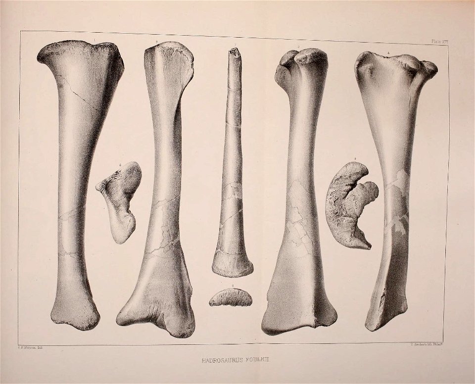 n552_w1150