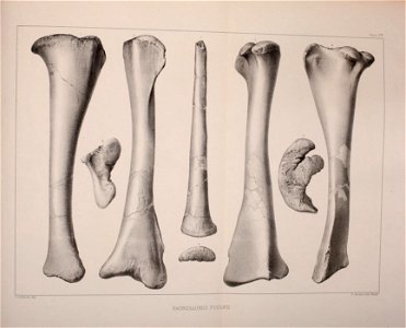 n552_w1150