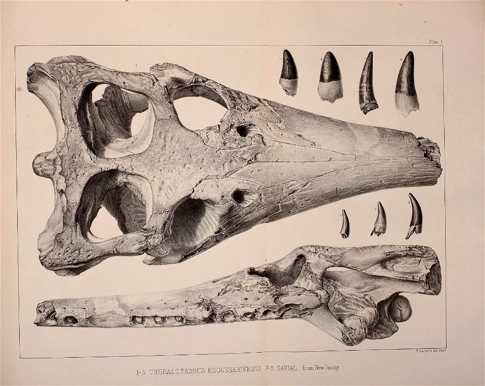 n512_w1150