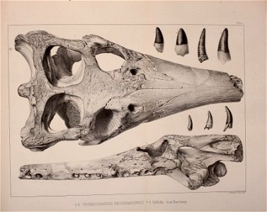 n512_w1150