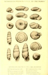 n915_w1150