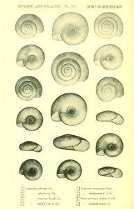 n115_w1150