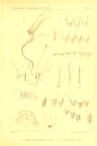 n498_w1150