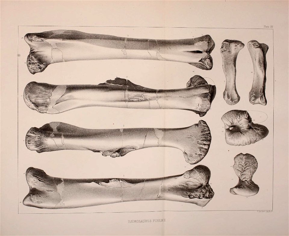 n548_w1150