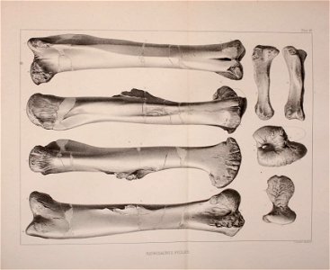 n548_w1150