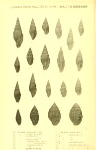 n563_w1150