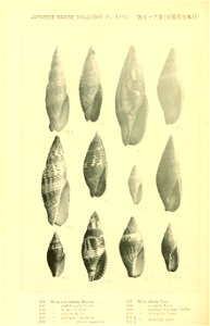 n393_w1150