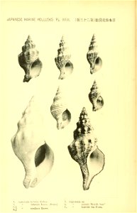 n59_w1150