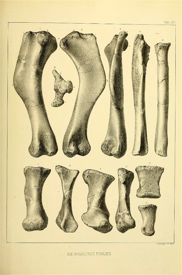 n544_w1150