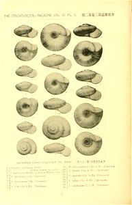 n753_w1150