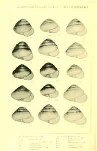 n391_w1150