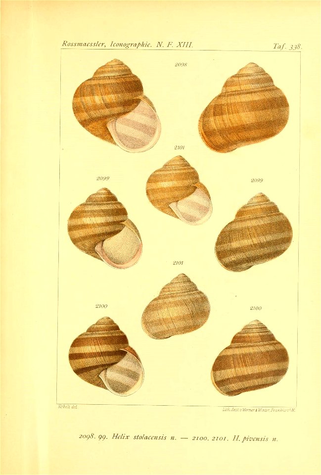 n228_w1150