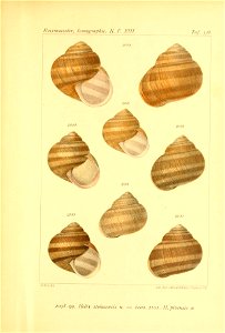 n228_w1150