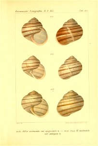n116_w1150