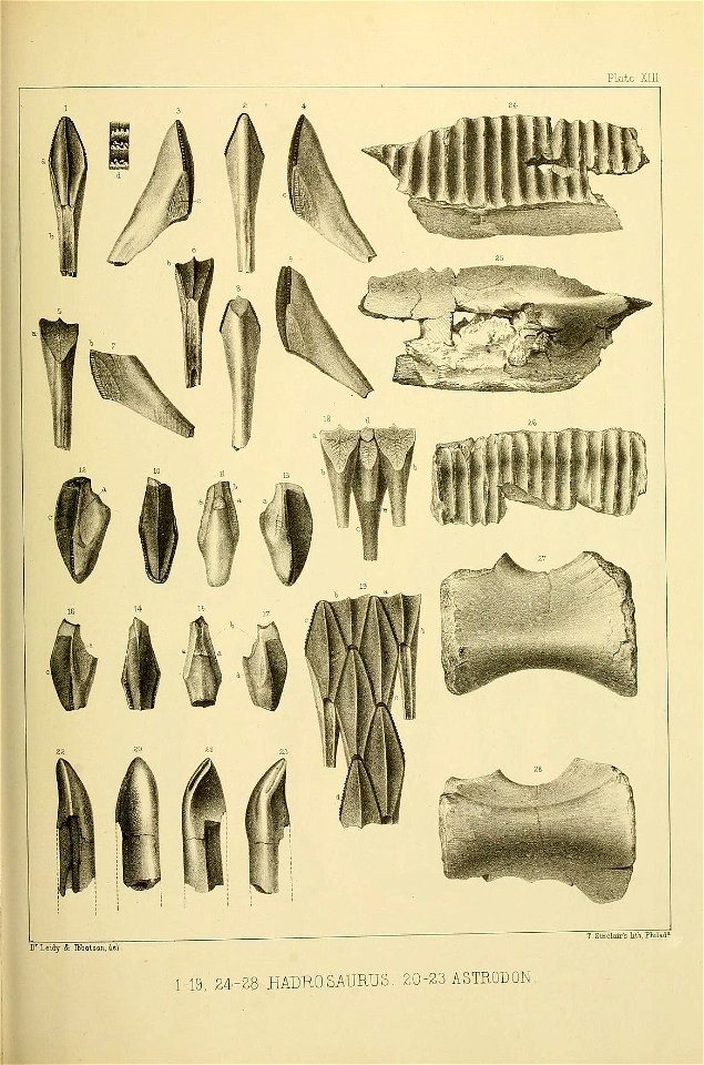 n542_w1150
