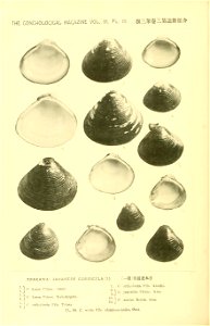 n751_w1150