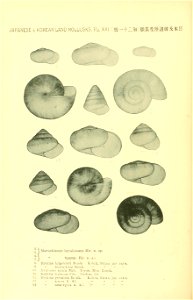 n561_w1150