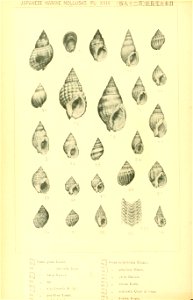 n225_w1150