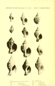 n57_w1150