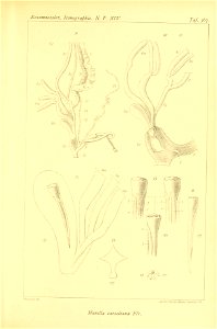 n478_w1150