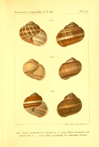 n114_w1150