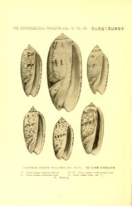 n863_w1150