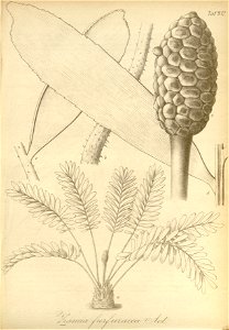 n112_w1150