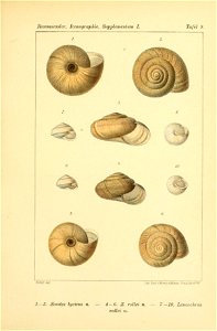 n102_w1150