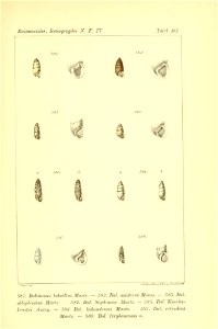 n516_w1150