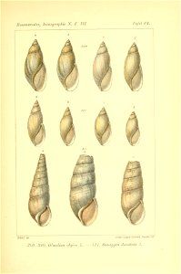 n436_w1150