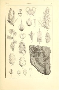 n356_w1150