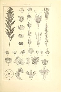 n256_w1150