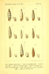 n508_w1150