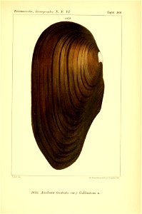n418_w1150