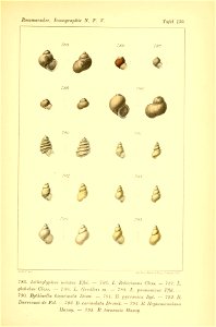 n358_w1150