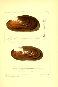 n364_w1150
