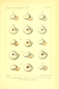 n542_w1150