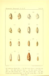 n512_w1150