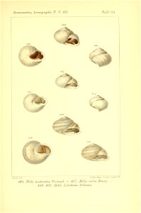 n482_w1150