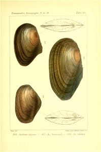 n434_w1150