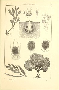 n396_w1150