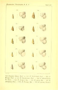 n384_w1150